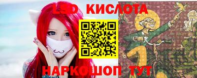 сатива Будённовск