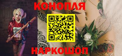 сатива Будённовск