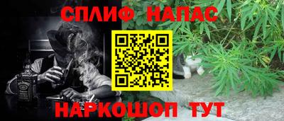 сатива Будённовск