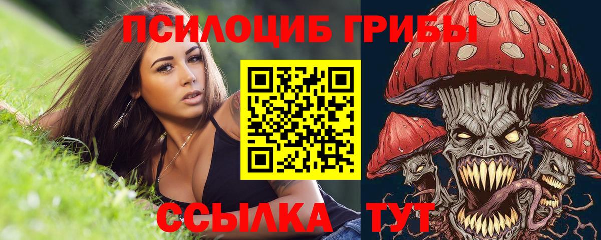 купить  сайты  Псилоцибиновые грибы MAGIC MUSHROOMS  Улан-Удэ  Вход с VPN  Галлюциногенные грибы прущие грибы 